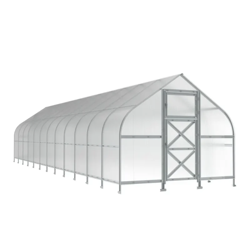 10x40-ft-steel-curved-eave-gable-roof-greenhouse-product