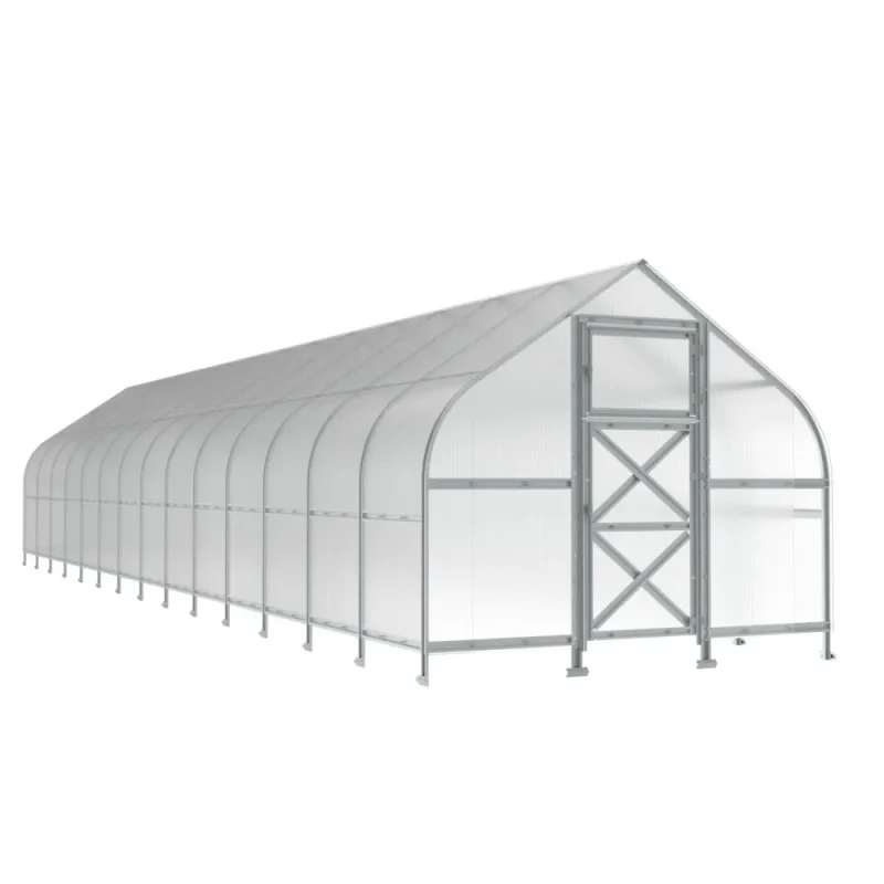 10x46-ft-steel-curved-eave-gable-roof-greenhouse-product