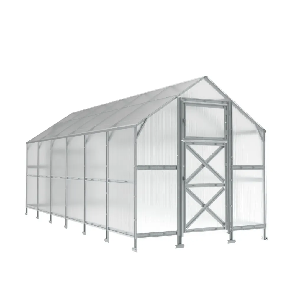 About DiBiBi 4 8x16-ft-steel-gable-roof-greenhouse-product